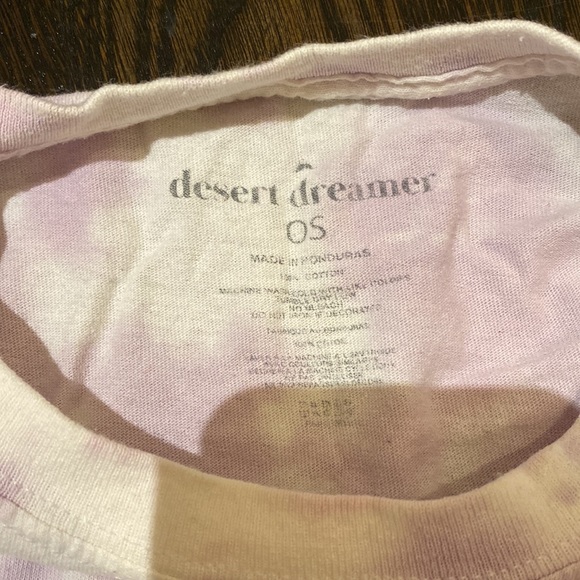 Urban Outfitters Desert Dreamer Graphic Oversized Tee - Picture 3 of 3